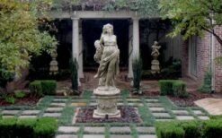 Dwarf Mondo Grass - 18 Count Flat Of Pint Pots -Plant Serie Store Picture Mondo Grass Dwarf Pavers