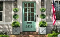 Green Mountain Boxwood 3-Ball Poodle Tier Topiary - 6 Gallon Pot -Plant Serie Store buxus green mountain 3 ball topiary 20